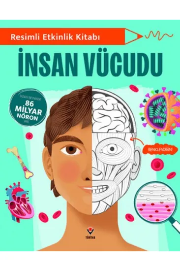 Resimli Etkinlik Kitabı - İnsan Vücudu Resimli Etkinlik Kitabı - İnsan Vücudu