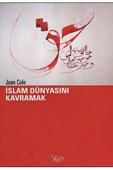 İslam Dünyasını Kavramak