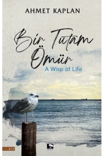 Bir Tutam Ömür