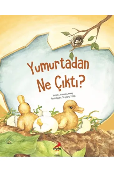 Yumurtadan Ne Çıktı? Yumurtadan Ne Çıktı?