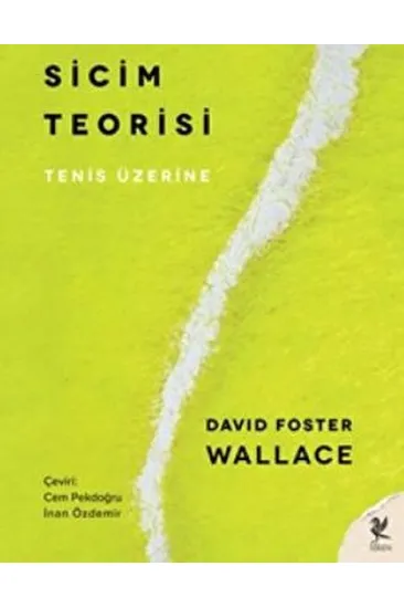 Sicim Teorisi