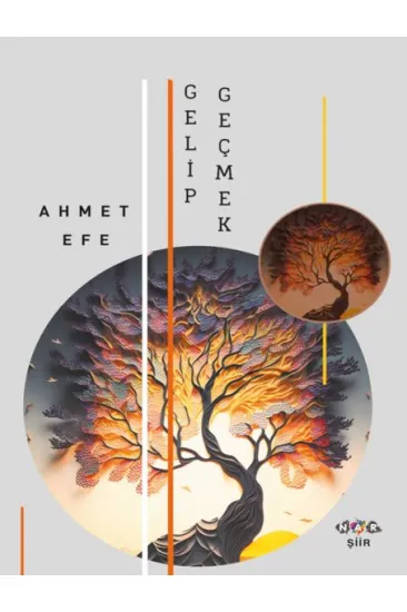 Gelip Geçmek Gelip Geçmek