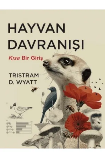 Hayvan Davranışı Hayvan Davranışı