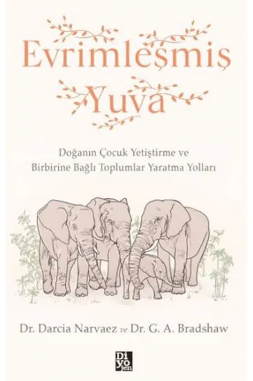 Evrimleşmiş Yuva Evrimleşmiş Yuva