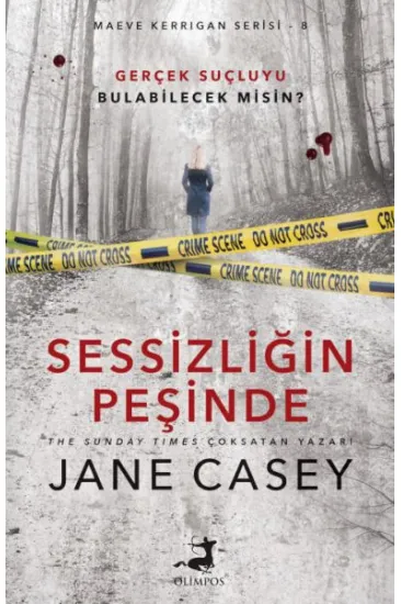 Sessizliğin Peşinde Sessizliğin Peşinde