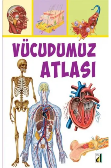 Vücudumuz Atlası Vücudumuz Atlası