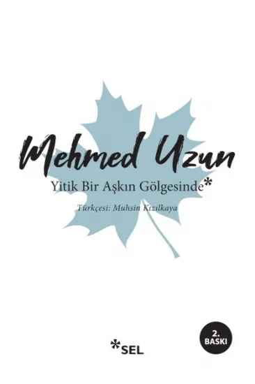 Yitik Bir Aşkın Gölgesinde Yitik Bir Aşkın Gölgesinde