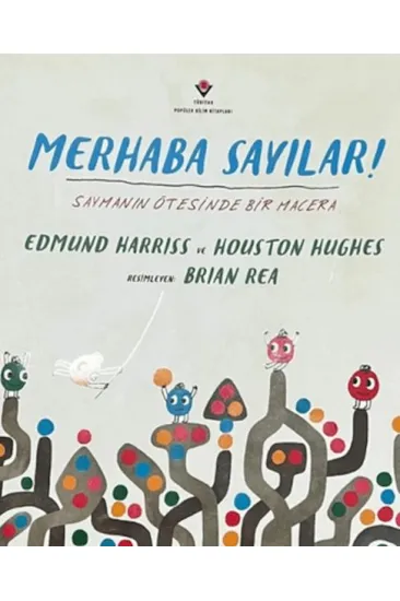 Merhaba Sayılar ! Saymanın Ötesinde Bir Macera