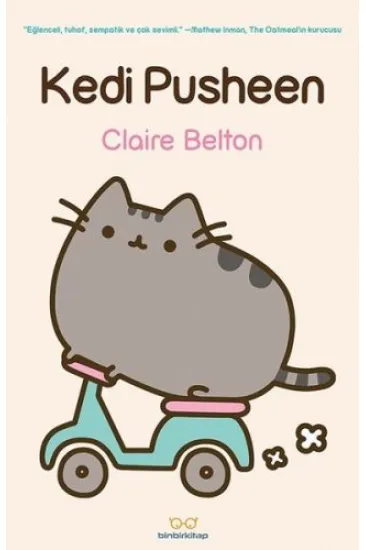 Kedi Pusheen Kedi Pusheen