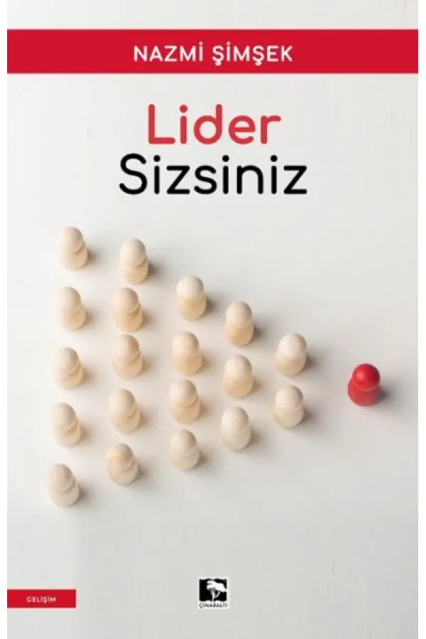 Lider Sizsiniz