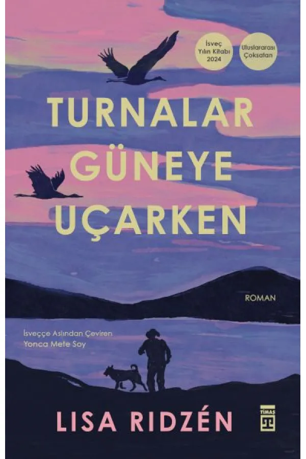 Turnalar Güneye Uçarken Turnalar Güneye Uçarken