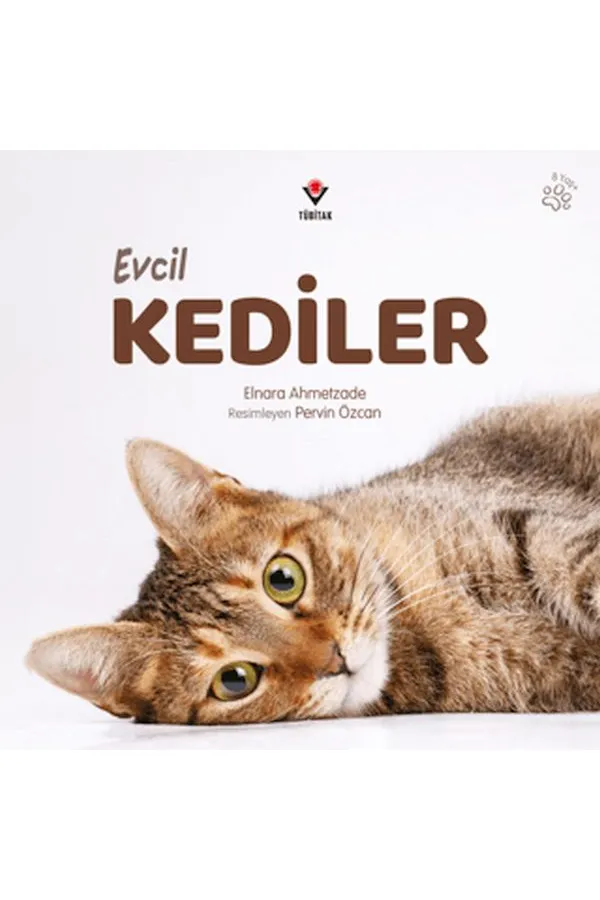 Evcil Kediler Evcil Kediler