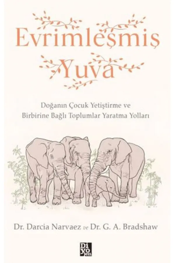 Evrimleşmiş Yuva Evrimleşmiş Yuva