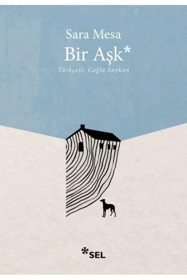 Bir Aşk Bir Aşk