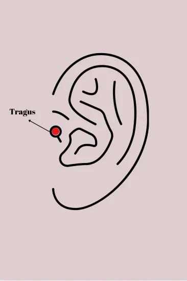 316L Çelik Gümüş Renk Zirkon Taşlı Çiçek Model Tragus Piercing 316L Çelik Gümüş Renk Zirkon Taşlı Çiçek Model Tragus Piercing