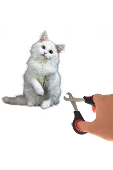 Büyük Irk Köpek Kedi Çelik Uçlu Evcil Hayvan Tırnak Makası Pati Bakım Aleti Ergonomik Kaymaz (5637) Büyük Irk Köpek Kedi Çelik Uçlu Evcil Hayvan Tırnak Makası Pati Bakım Aleti Ergonomik Kaymaz (5637)