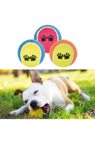 3'lü Renkli Desenli Tenis Topu Kedi Köpek Oyuncağı (5637) 3'lü Renkli Desenli Tenis Topu Kedi Köpek Oyuncağı (5637)