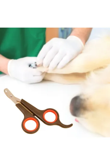 Küçük Çelik Uçlu Kedi Köpek Evcil Hayvan Tırnak Makası Pati Bakım Aleti Ergonomik Kaymaz Sap (5637) Küçük Çelik Uçlu Kedi Köpek Evcil Hayvan Tırnak Makası Pati Bakım Aleti Ergonomik Kaymaz Sap (5637)