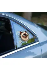 Fulcar Siamesse Araç Stickerı Fulcar Siamesse Araç Stickerı