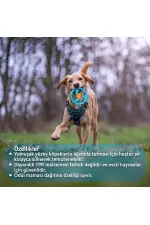 Halatlı Frizbi Köpek Isırma Oyuncağı - Mama Ödüllü Mekanizma Halatlı Frizbi Köpek Isırma Oyuncağı - Mama Ödüllü Mekanizma