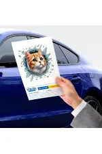 Fulcar Sarman Araç Stickerı