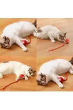 Şarjlı Kedi Oyuncağı Şarjlı Kedi Oyuncağı