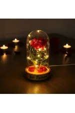 Gül Yapraklı Ledli Gül Fanus Gül Yapraklı Ledli Gül Fanus