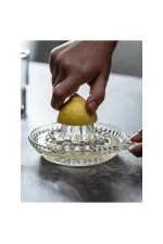 Cam Limon Sıkacağı Cam Limon Sıkacağı
