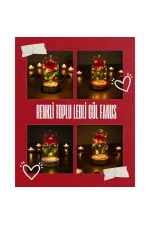 Renkli Toplu Ledli Gül Fanus Renkli Toplu Ledli Gül Fanus
