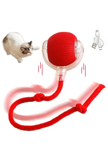 Şarjlı Kedi Oyuncağı Şarjlı Kedi Oyuncağı