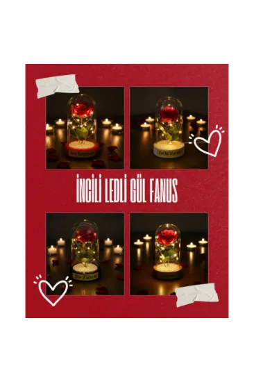 İncili Ledli Gül Fanus İncili Ledli Gül Fanus