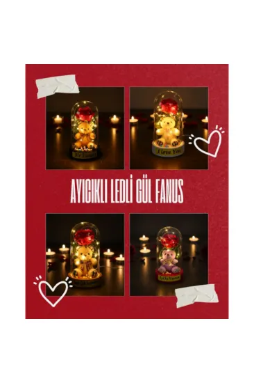 Ayıcıklı Ledli Gül Fanus