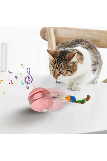 Şarjlı Hareketli Kedi Topu Oyuncak Şarjlı Hareketli Kedi Topu Oyuncak