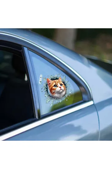 Fulcar Sarman Araç Stickerı Fulcar Sarman Araç Stickerı