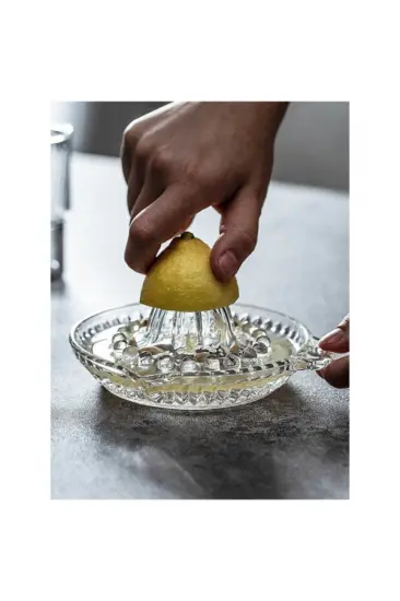 Cam Limon Sıkacağı Cam Limon Sıkacağı