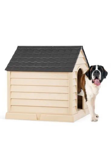 Büyük Köpek Kulübesi Büyük Köpek Kulübesi