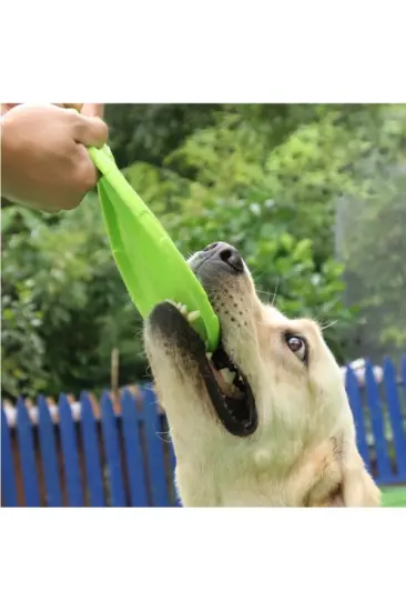 Silikon Frizbi Köpek Oyuncağı Silikon Frizbi Köpek Oyuncağı