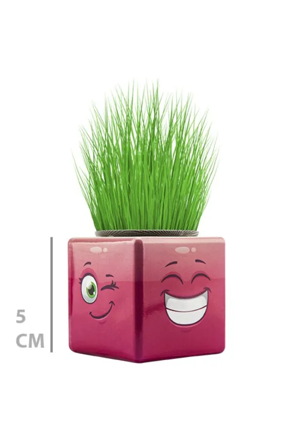 Çim Adam Mini Küp Emoji Figürlü 1 Adet