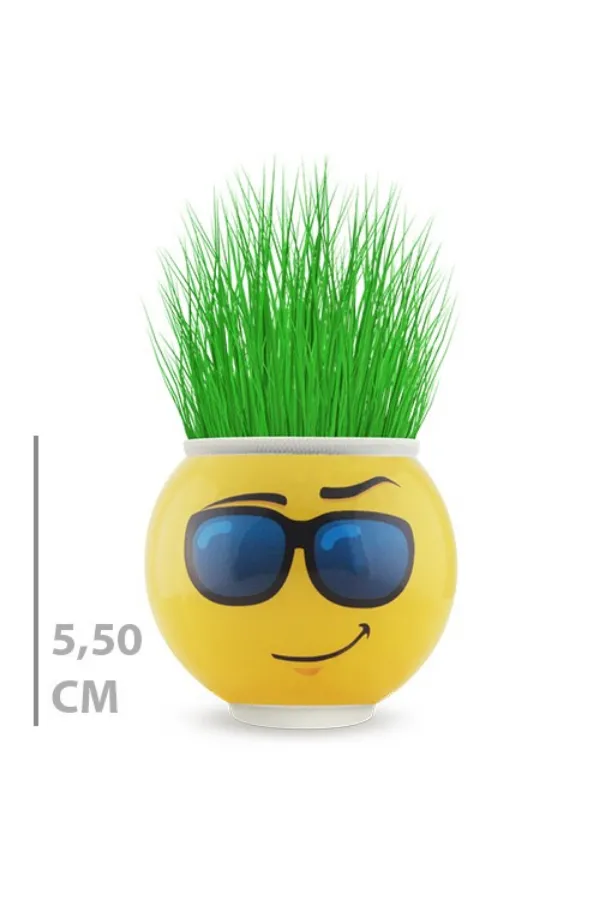 Çim Adam Saksı Emoji Figürlü 1 Adet Çim Adam Saksı Emoji Figürlü 1 Adet