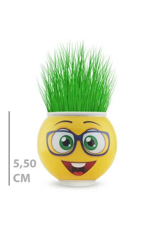 Çim Adam Saksı Emoji Figürlü 1 Adet Çim Adam Saksı Emoji Figürlü 1 Adet