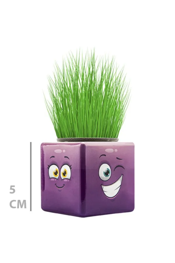 Çim Adam Mini Küp Emoji Figürlü 1 Adet