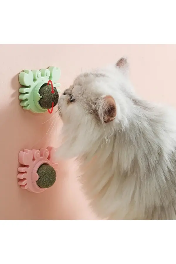 Yengeç Kedi Otu Oyun Topu Yengeç Kedi Otu Oyun Topu