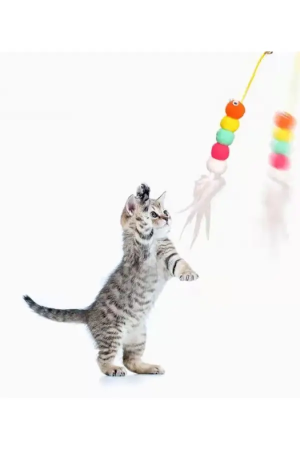 Elastik Yapışkanlı Kedi Oyun Oltası Elastik Yapışkanlı Kedi Oyun Oltası