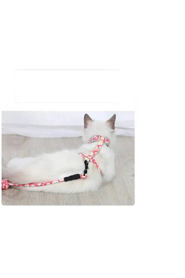 Kedi Gezdirme Göğüs Tasması Kedi Gezdirme Göğüs Tasması