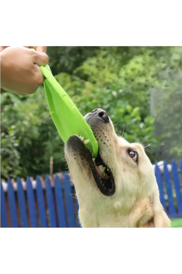 Silikon Frizbi Köpek Oyuncağı Silikon Frizbi Köpek Oyuncağı