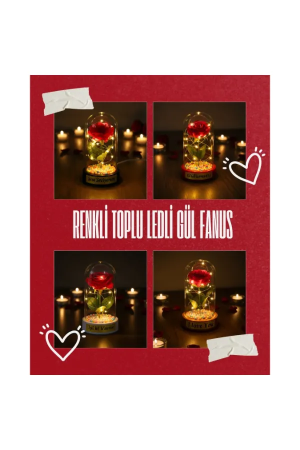 Renkli Toplu Ledli Gül Fanus Renkli Toplu Ledli Gül Fanus