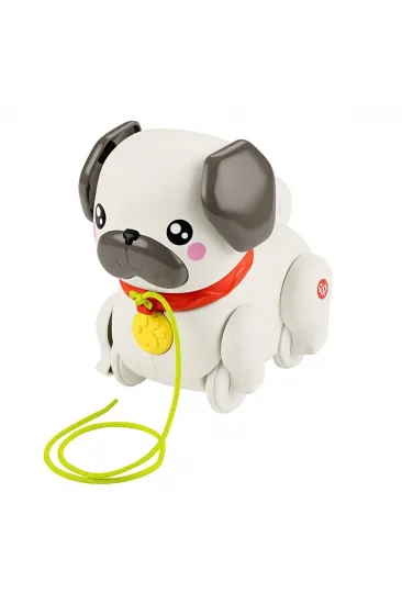 HTW94 Fisher-Price Minik Dostumla Yürüyüş HTW94 Fisher-Price Minik Dostumla Yürüyüş