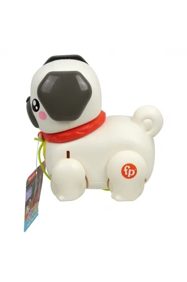 HTW94 Fisher-Price Minik Dostumla Yürüyüş HTW94 Fisher-Price Minik Dostumla Yürüyüş