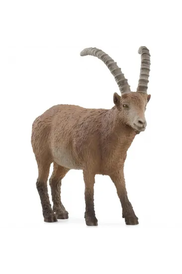 Oğlak Oğlak