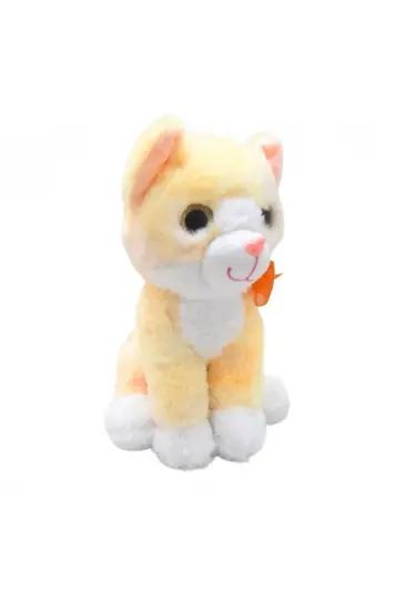 PELUŞ 30CM RENKLİ KEDİ (adet fiyatıdır) PELUŞ 30CM RENKLİ KEDİ (adet fiyatıdır)